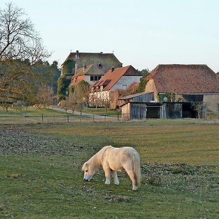 Elgersheimer Hof Volkach Extérieur photo