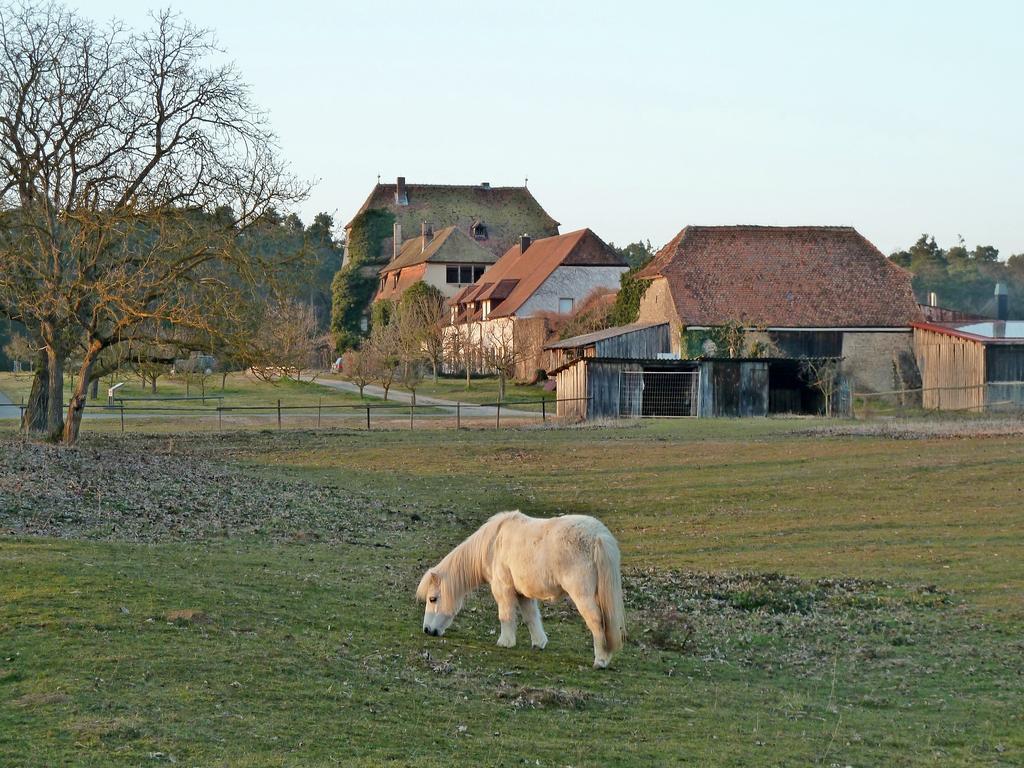 Elgersheimer Hof Volkach Extérieur photo